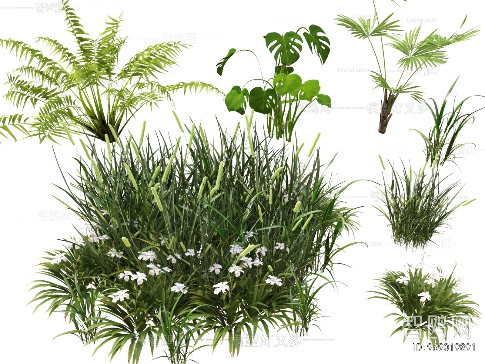 Modern Flowers And Grass