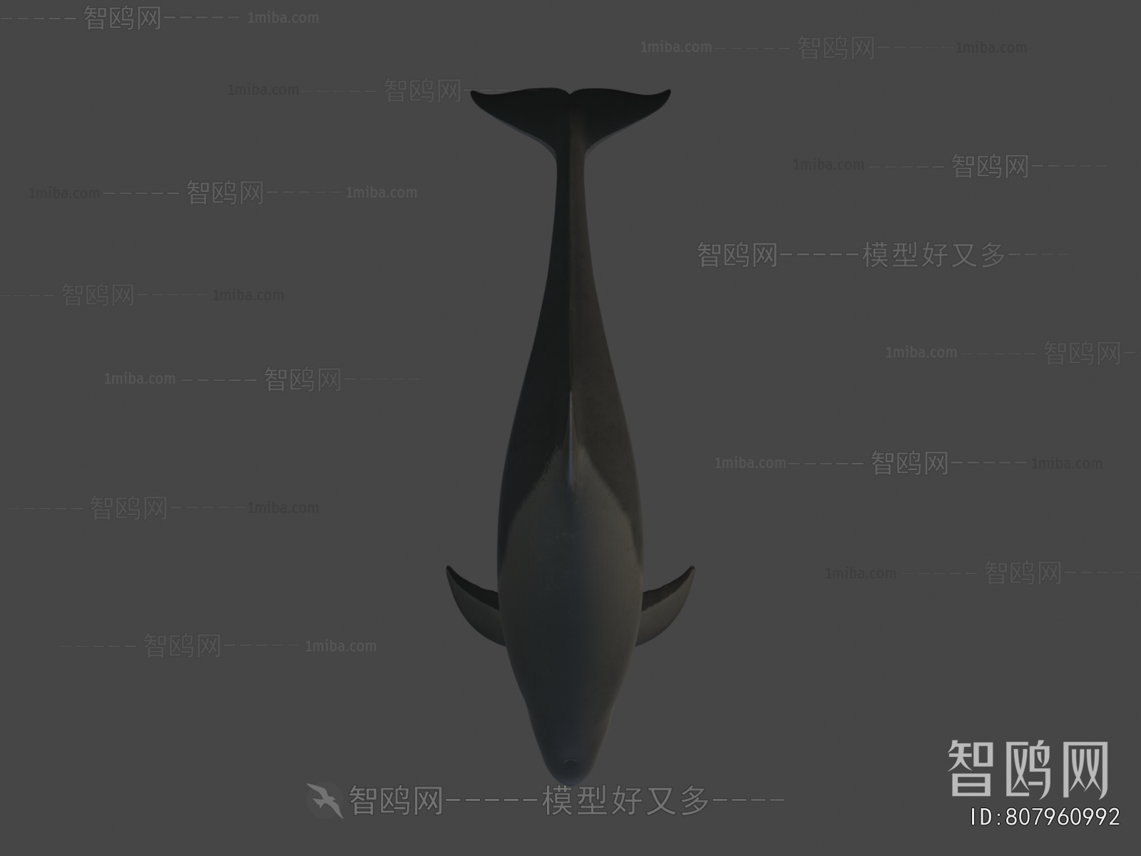 Modern Aquatic Animals