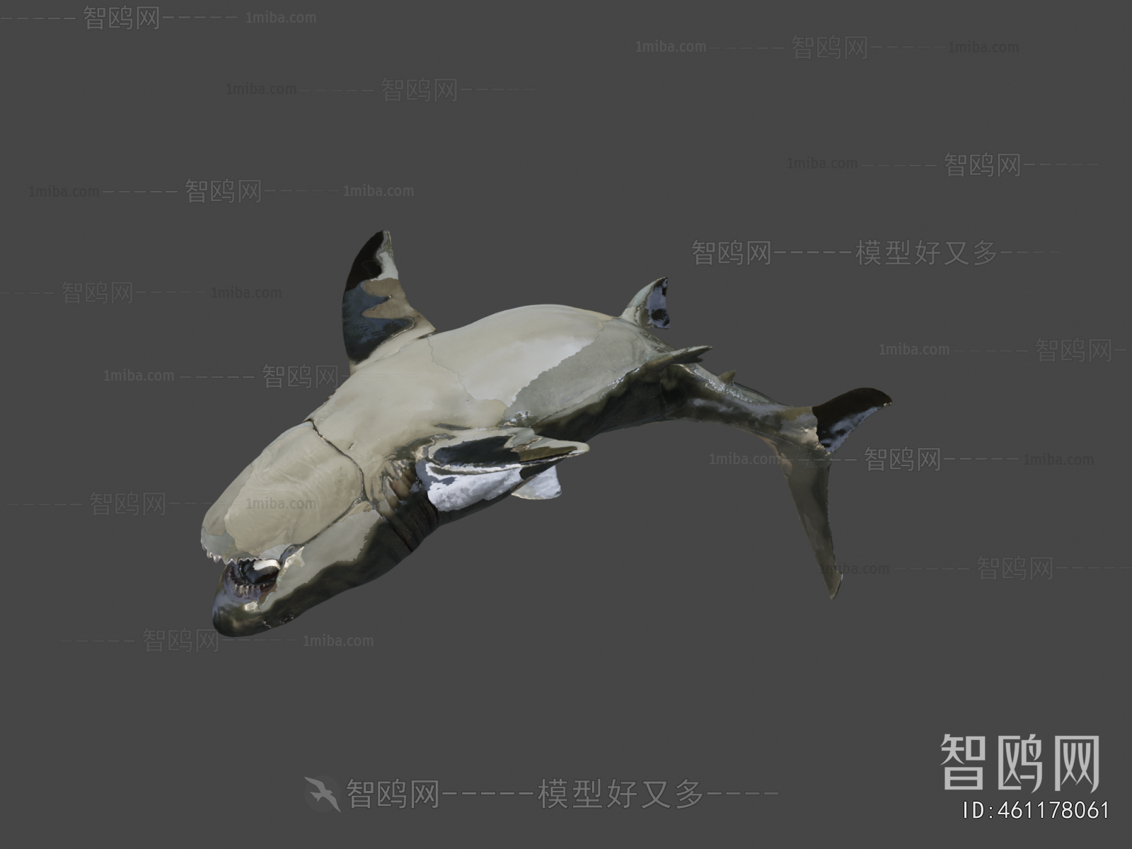 Modern Aquatic Animals