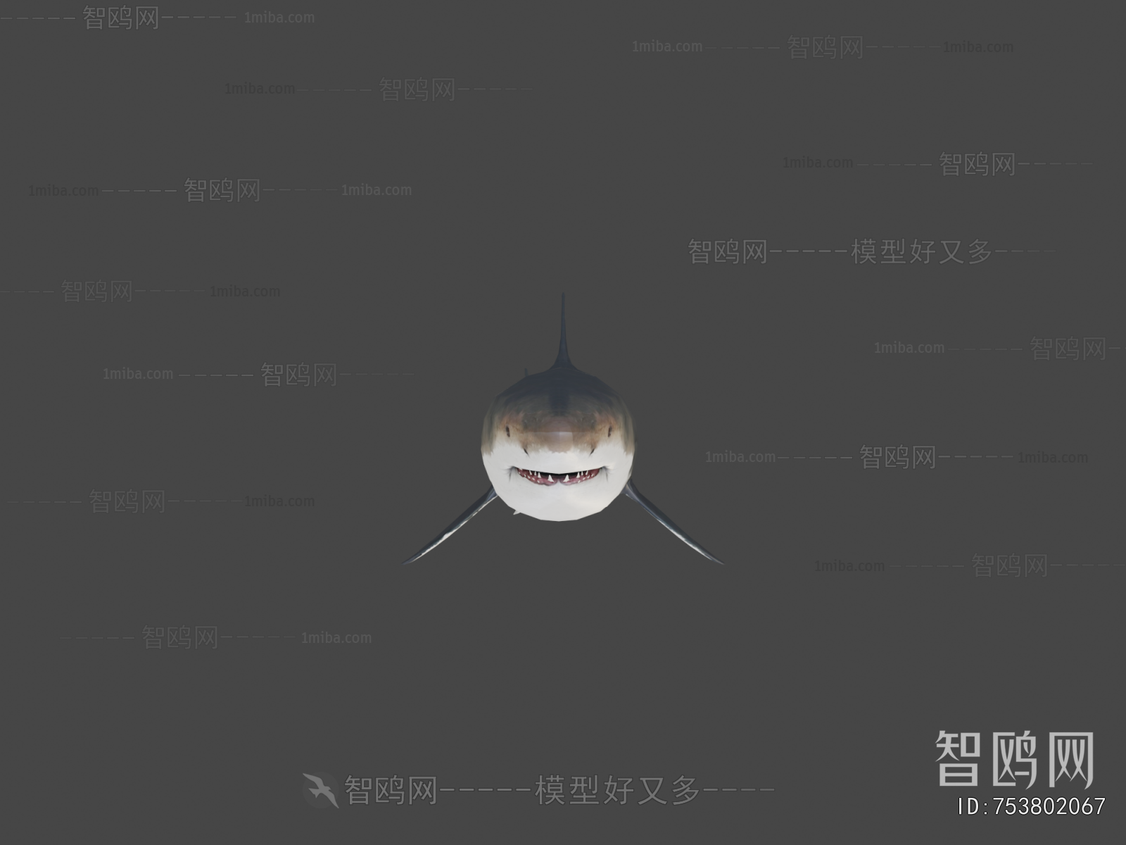 Modern Aquatic Animals