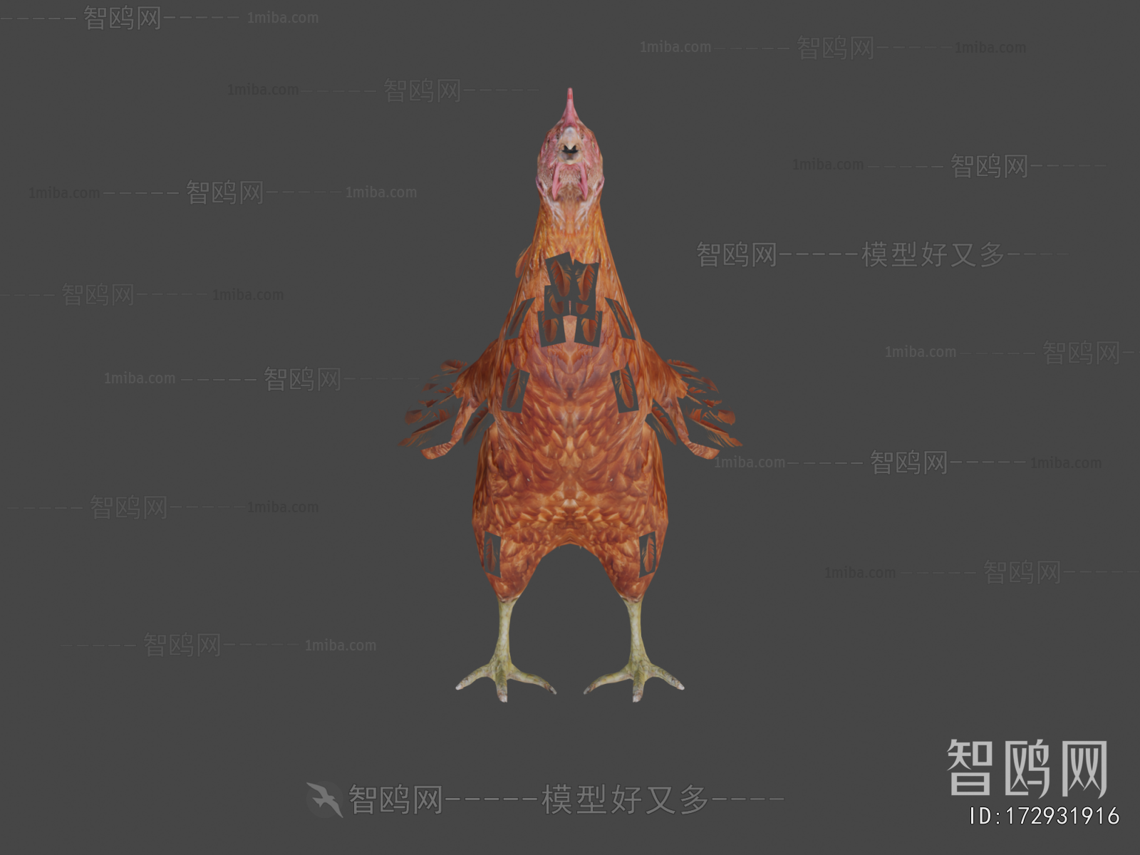 Modern Poultry Animal