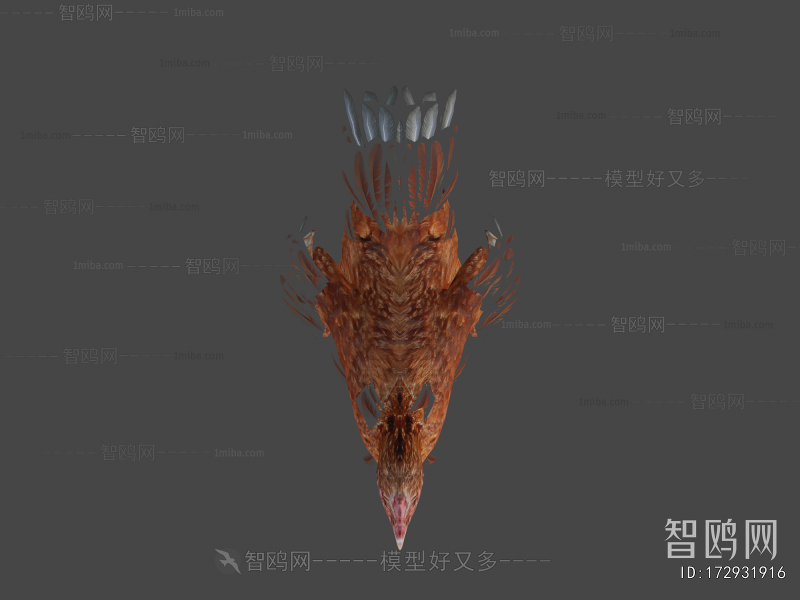 Modern Poultry Animal