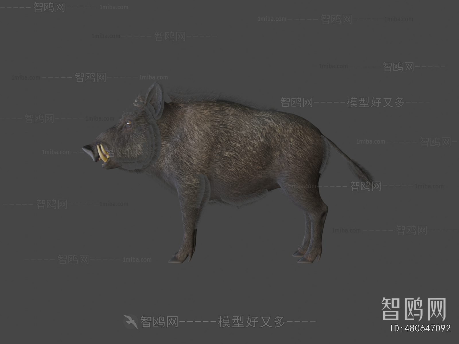 Modern Animal Pig