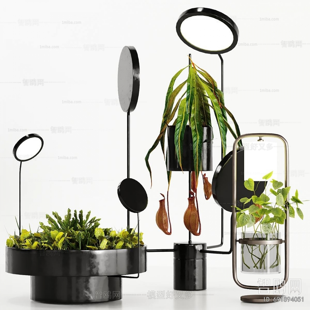 Modern Potted Green Plant