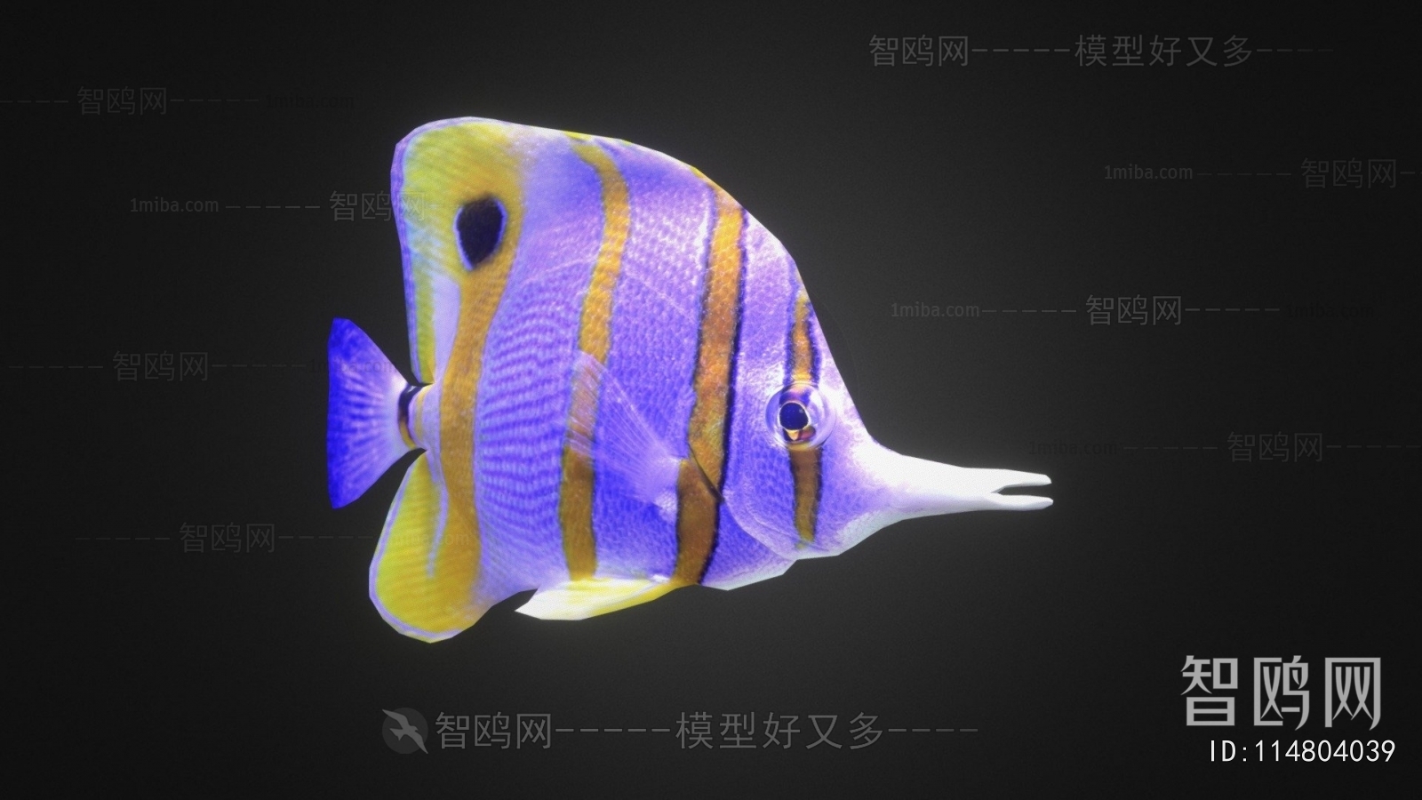 Modern Aquatic Animals