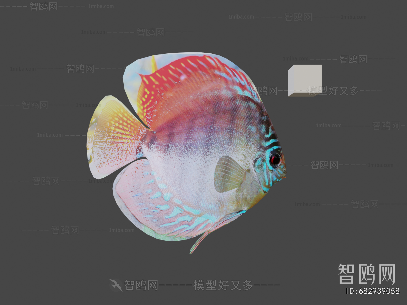 Modern Aquatic Animals