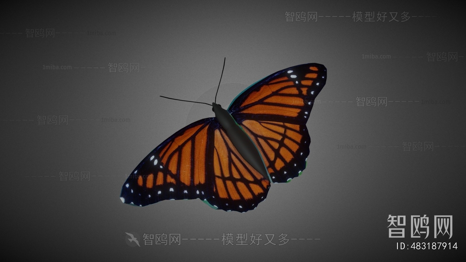 Modern Flying Animals