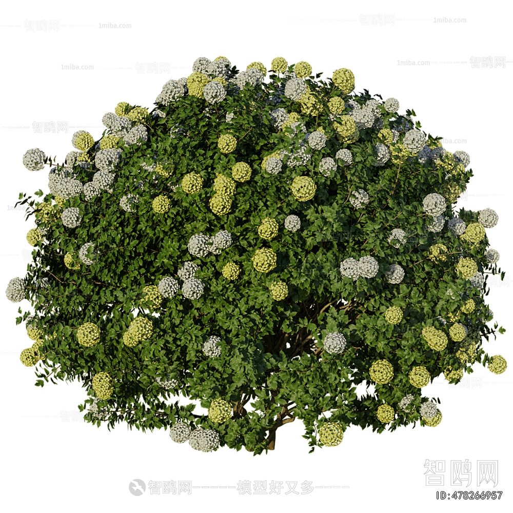 Modern Shrubbery