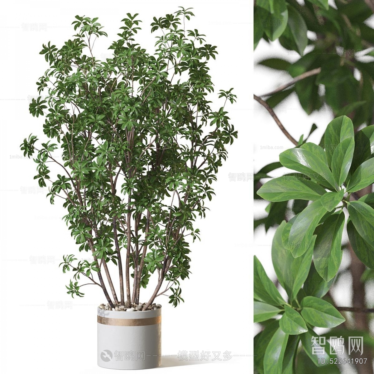 Modern Ground Green Plant Potted Plants