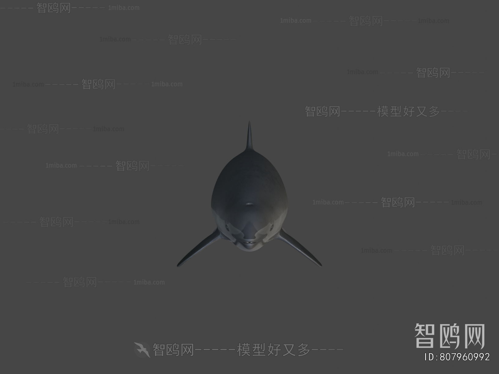 Modern Aquatic Animals