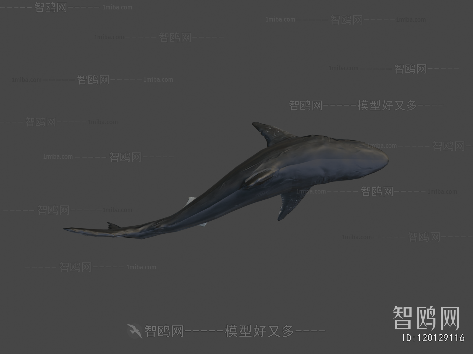 Modern Aquatic Animals