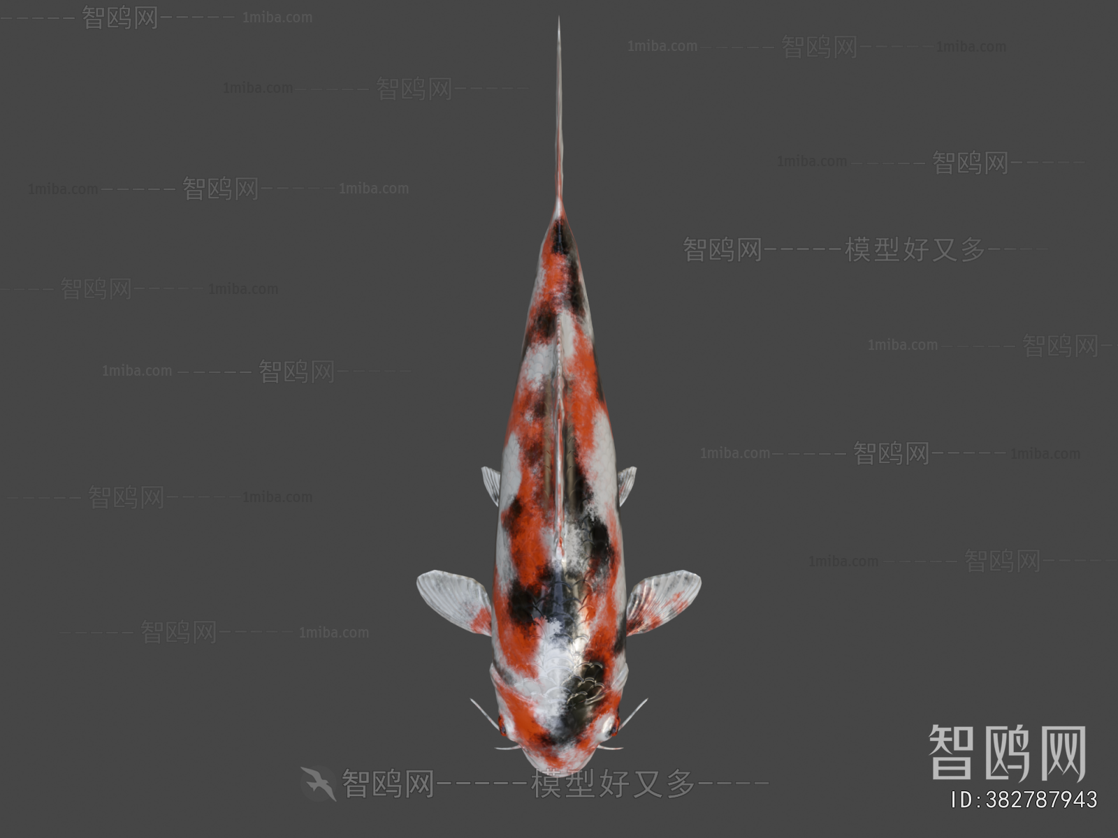 Modern Aquatic Animals