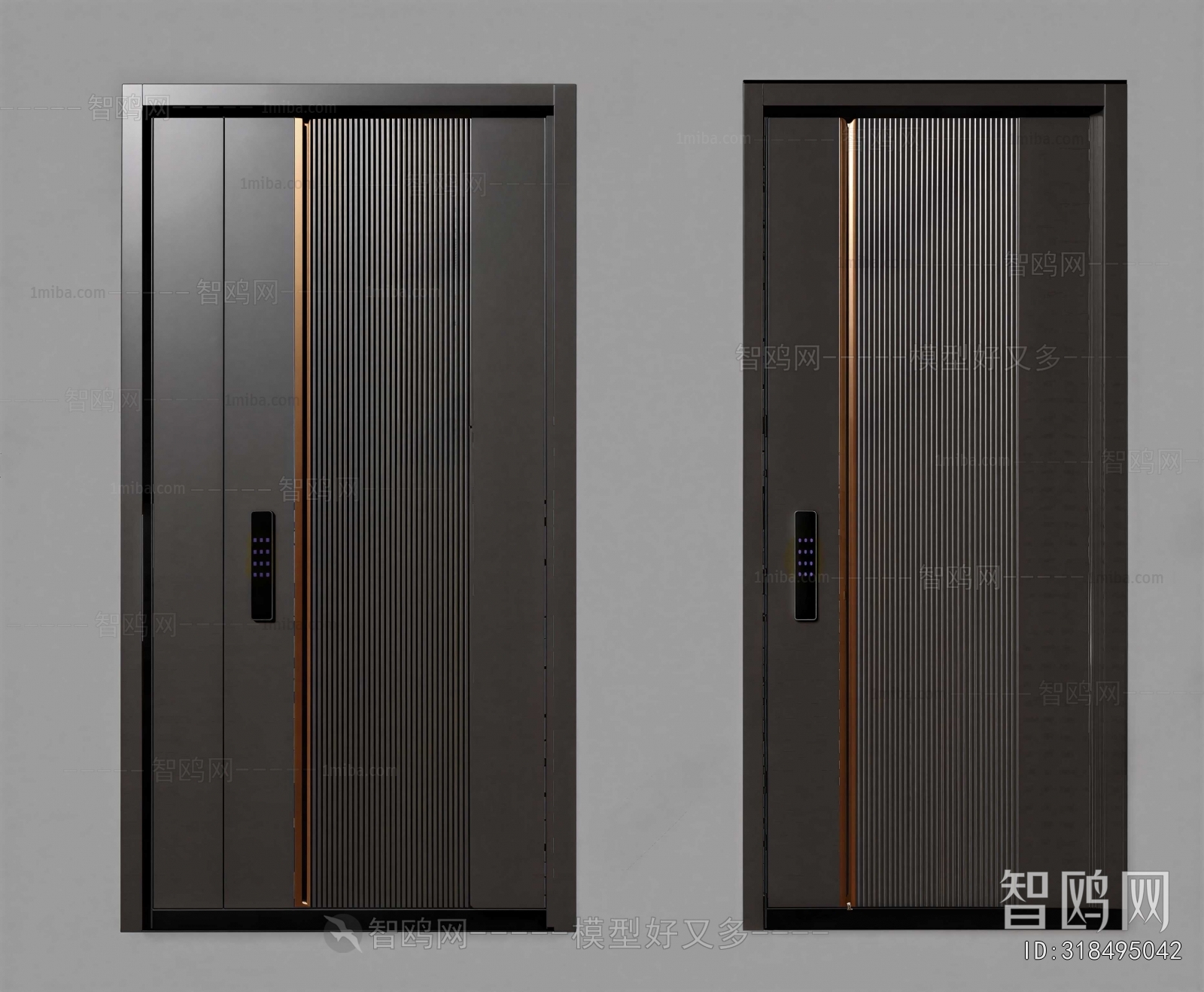 Modern Entrance Door