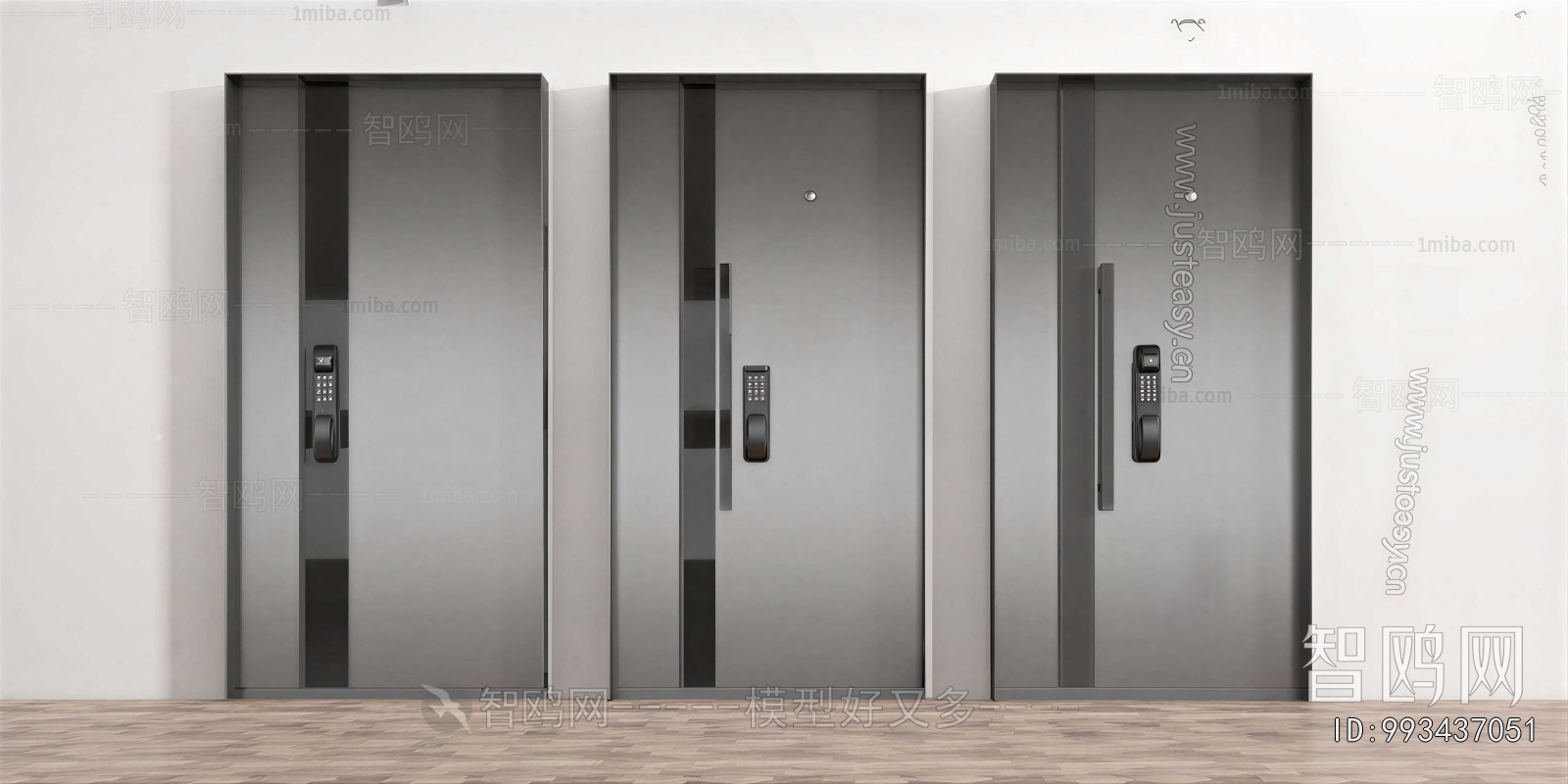 Modern Entrance Door