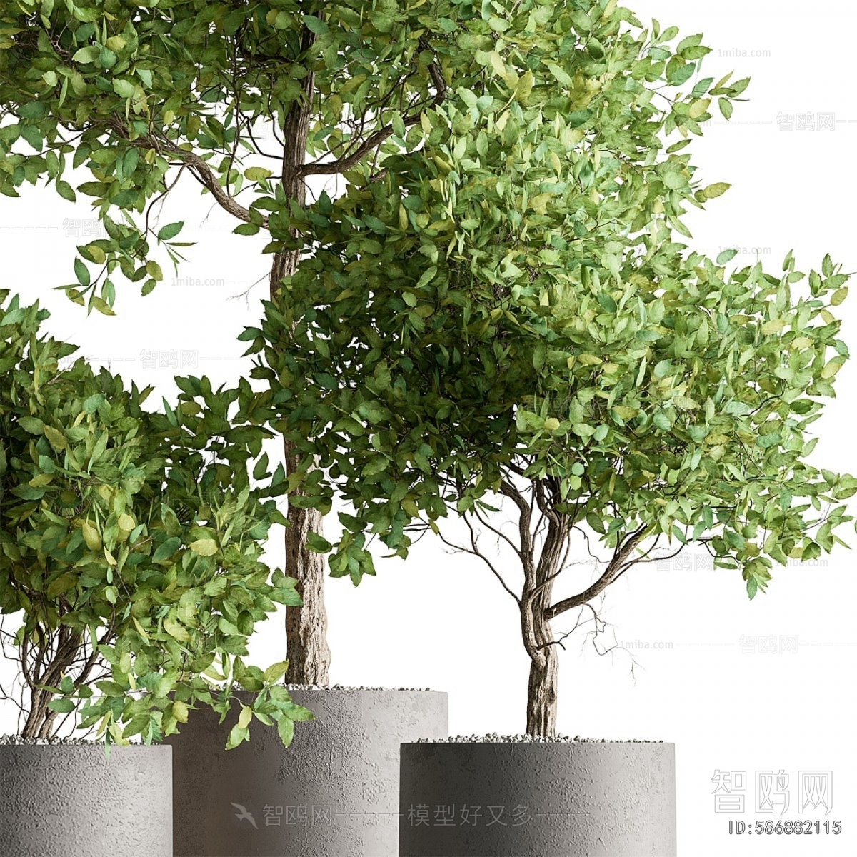 Modern Ground Green Plant Potted Plants