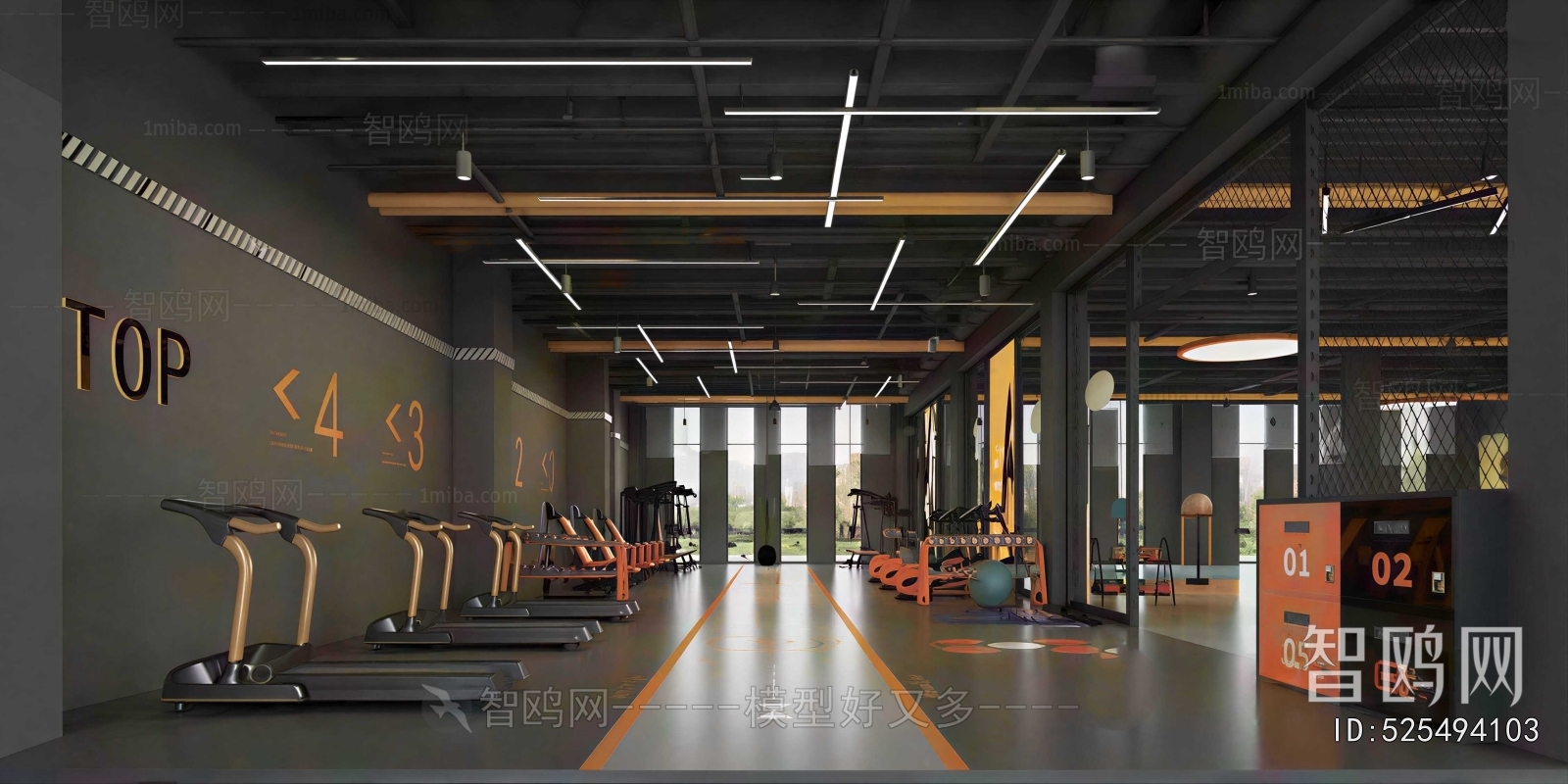 Modern Gym