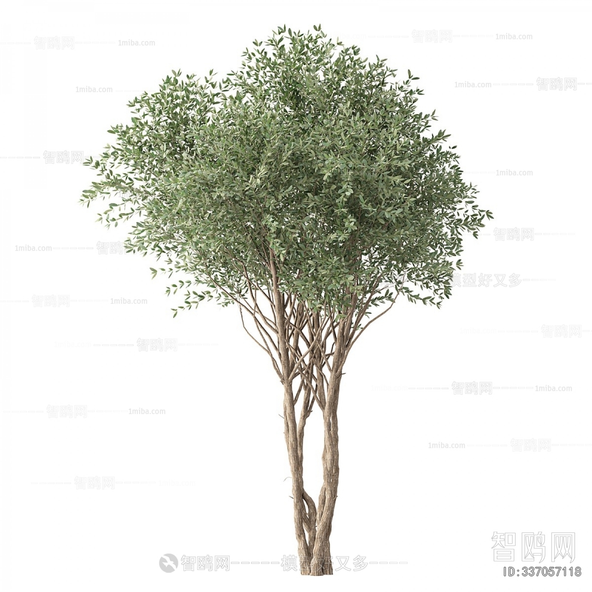 Modern Tree