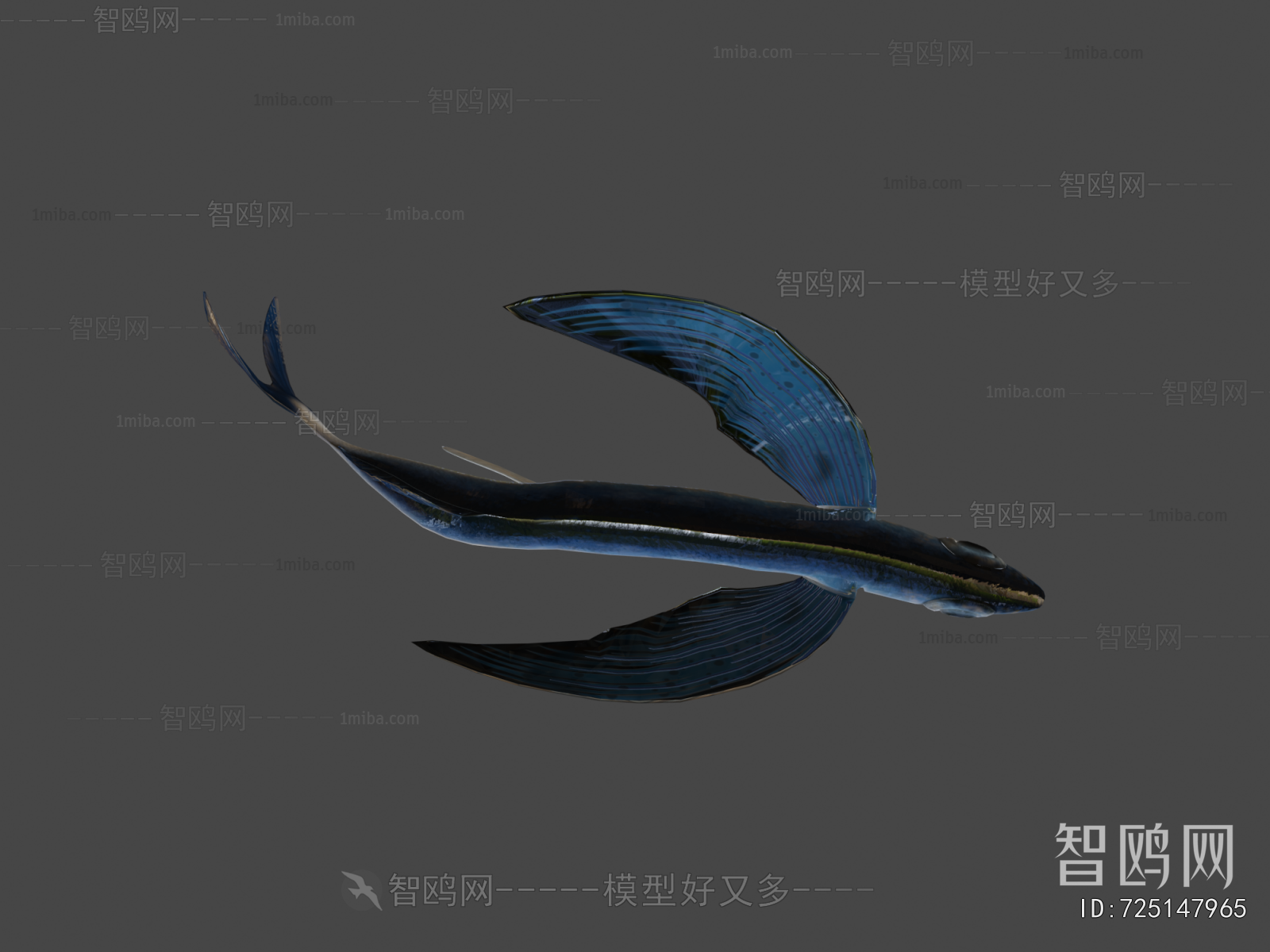 Modern Aquatic Animals