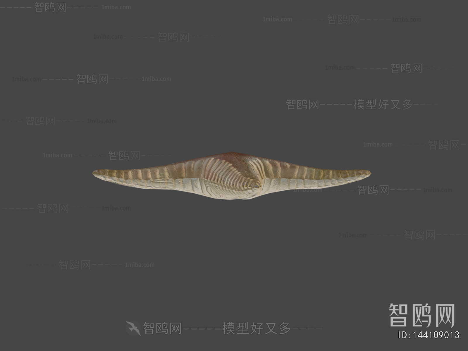 Modern Aquatic Animals