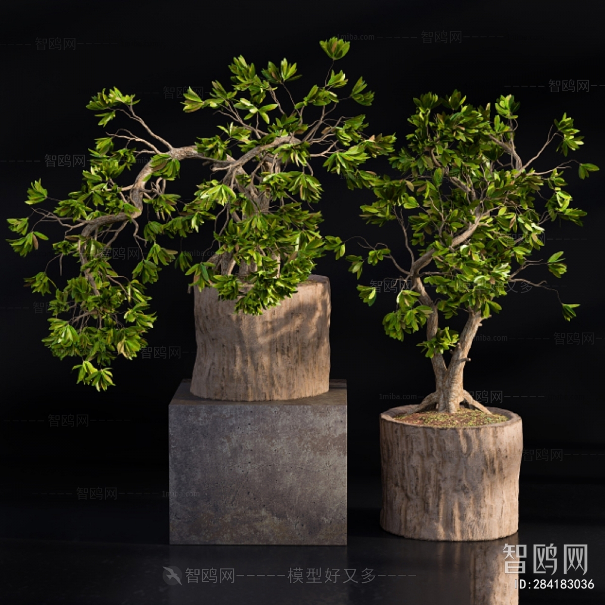 Modern Ground Green Plant Potted Plants