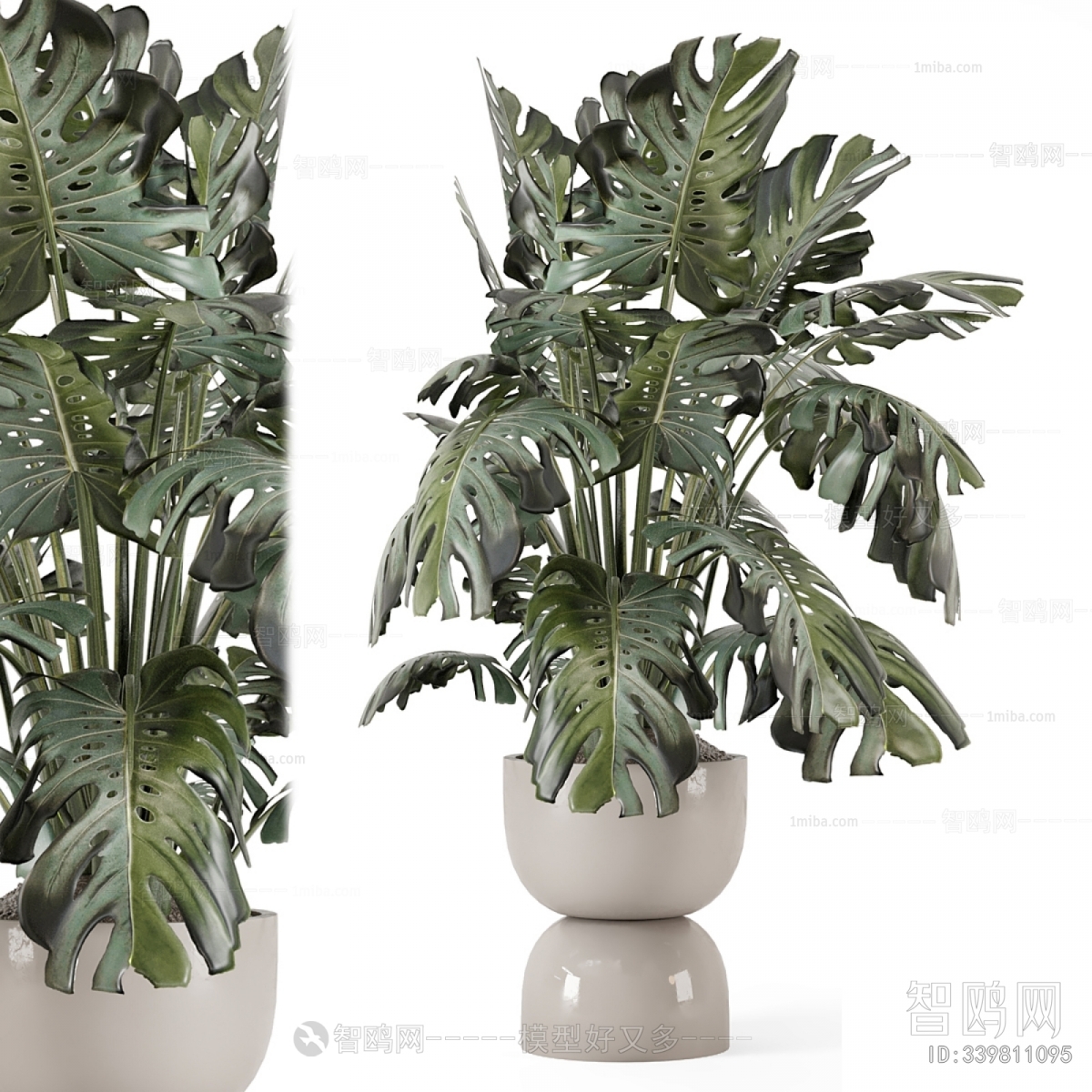 Modern Ground Green Plant Potted Plants