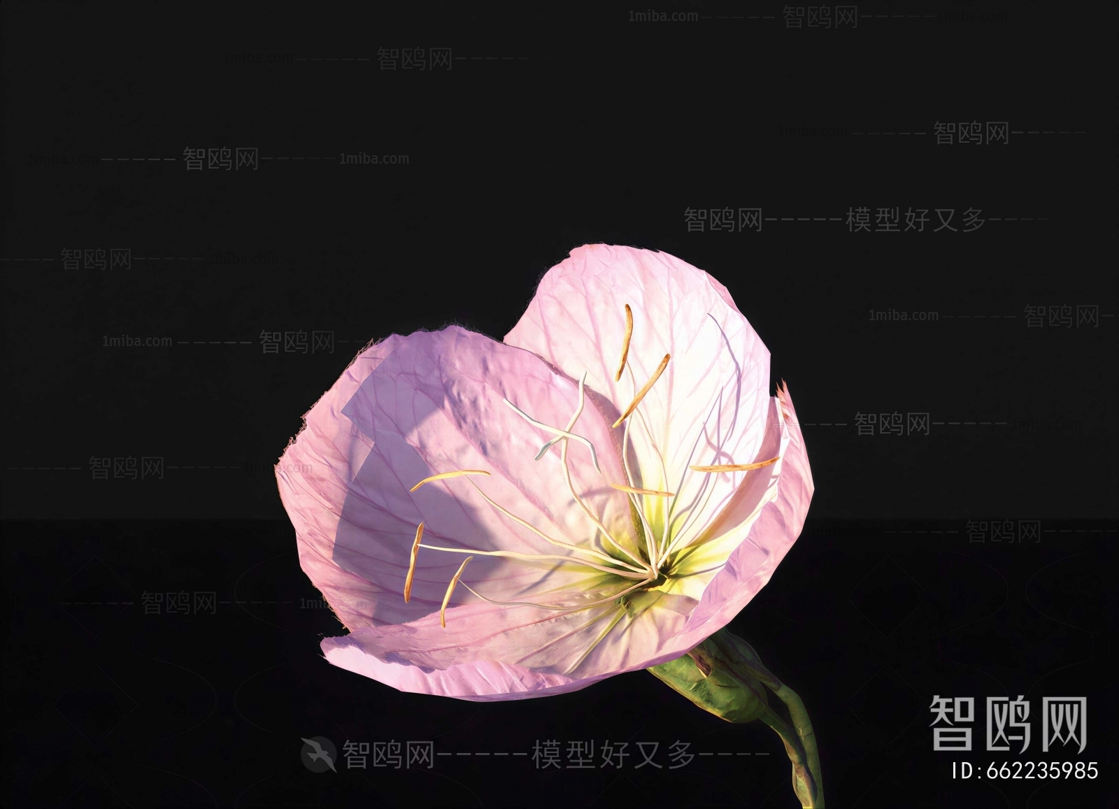 Modern Flowers And Grass