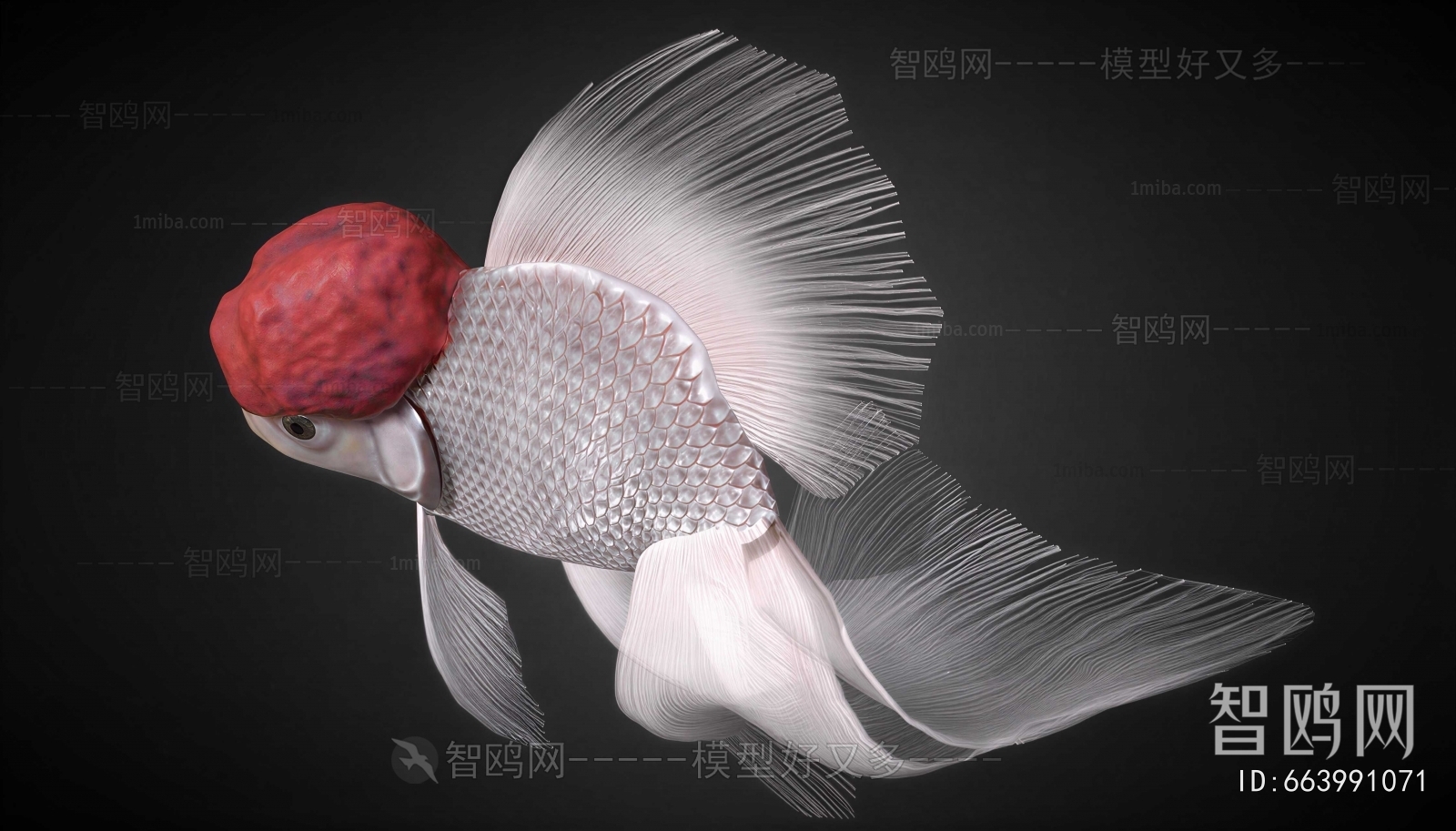 Modern Aquatic Animals