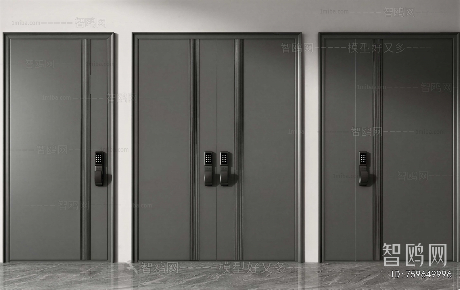 Modern Entrance Door