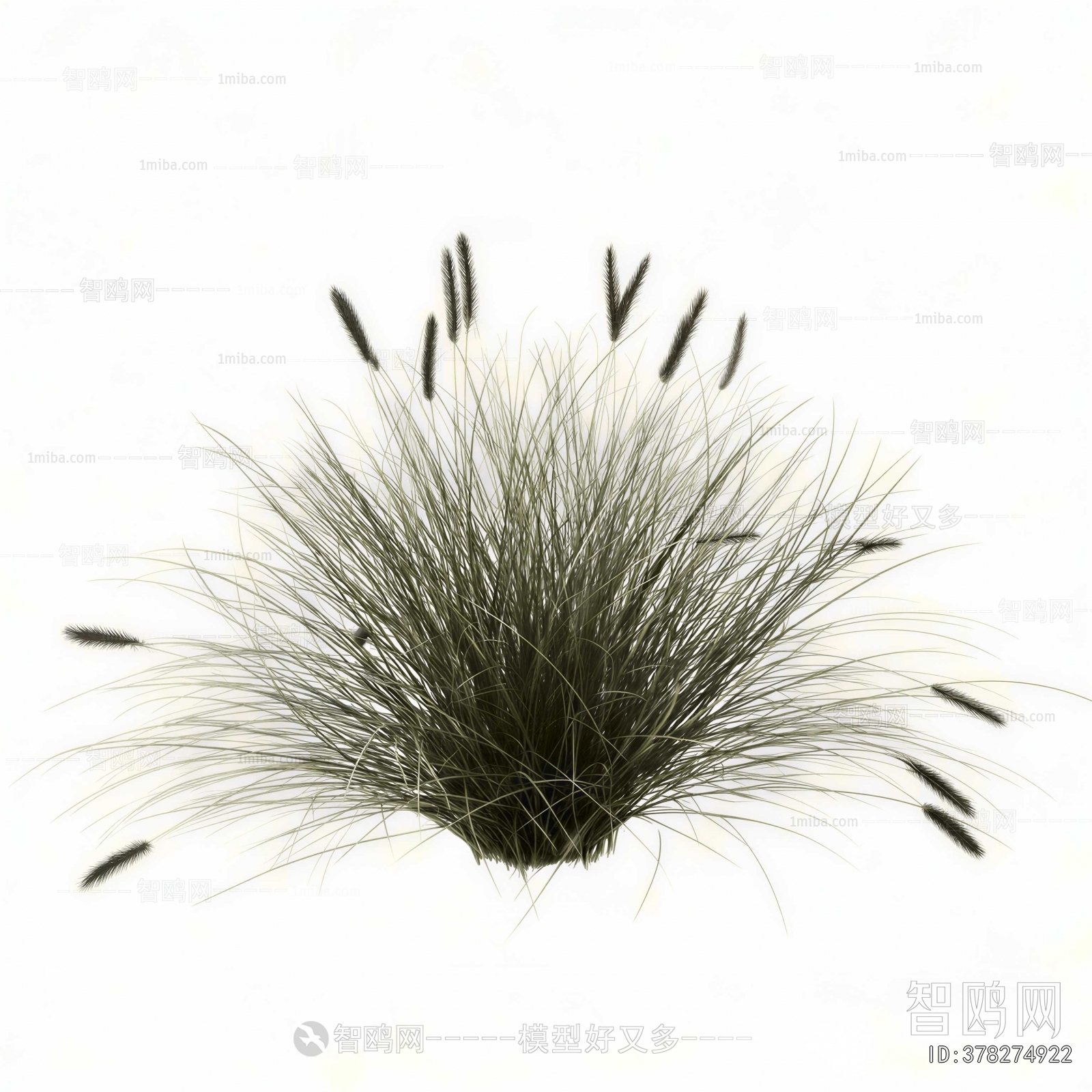 Modern Flowers And Grass