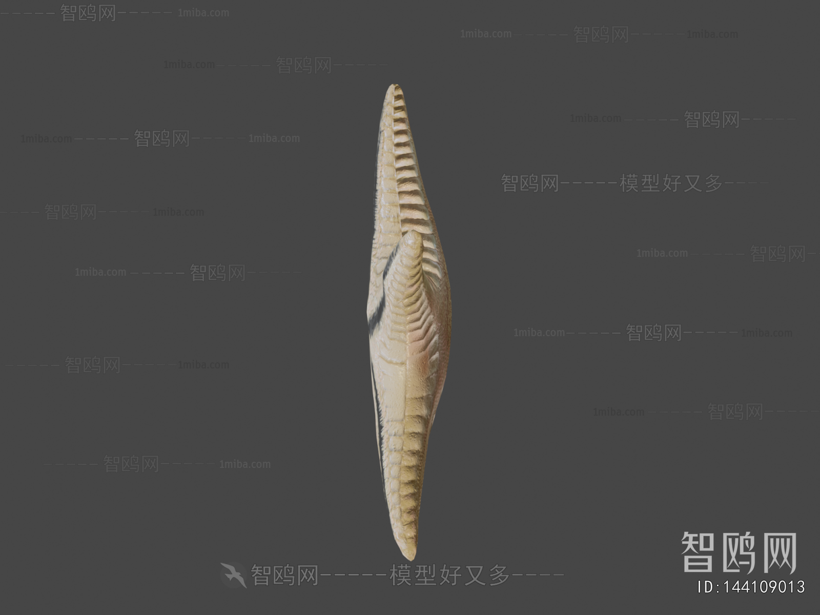 Modern Aquatic Animals