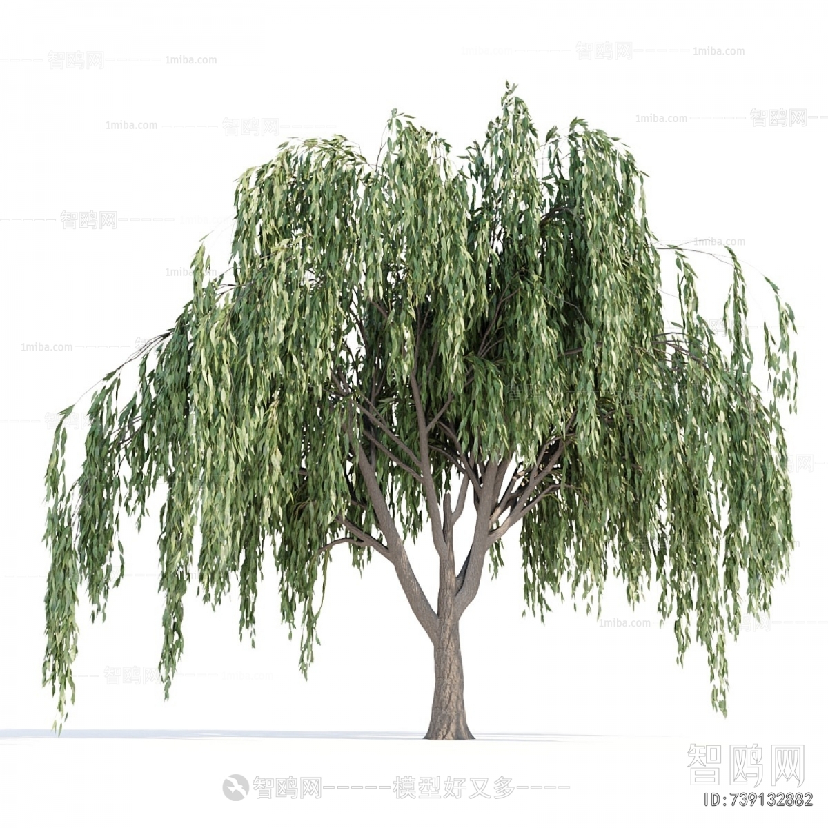 Modern Tree