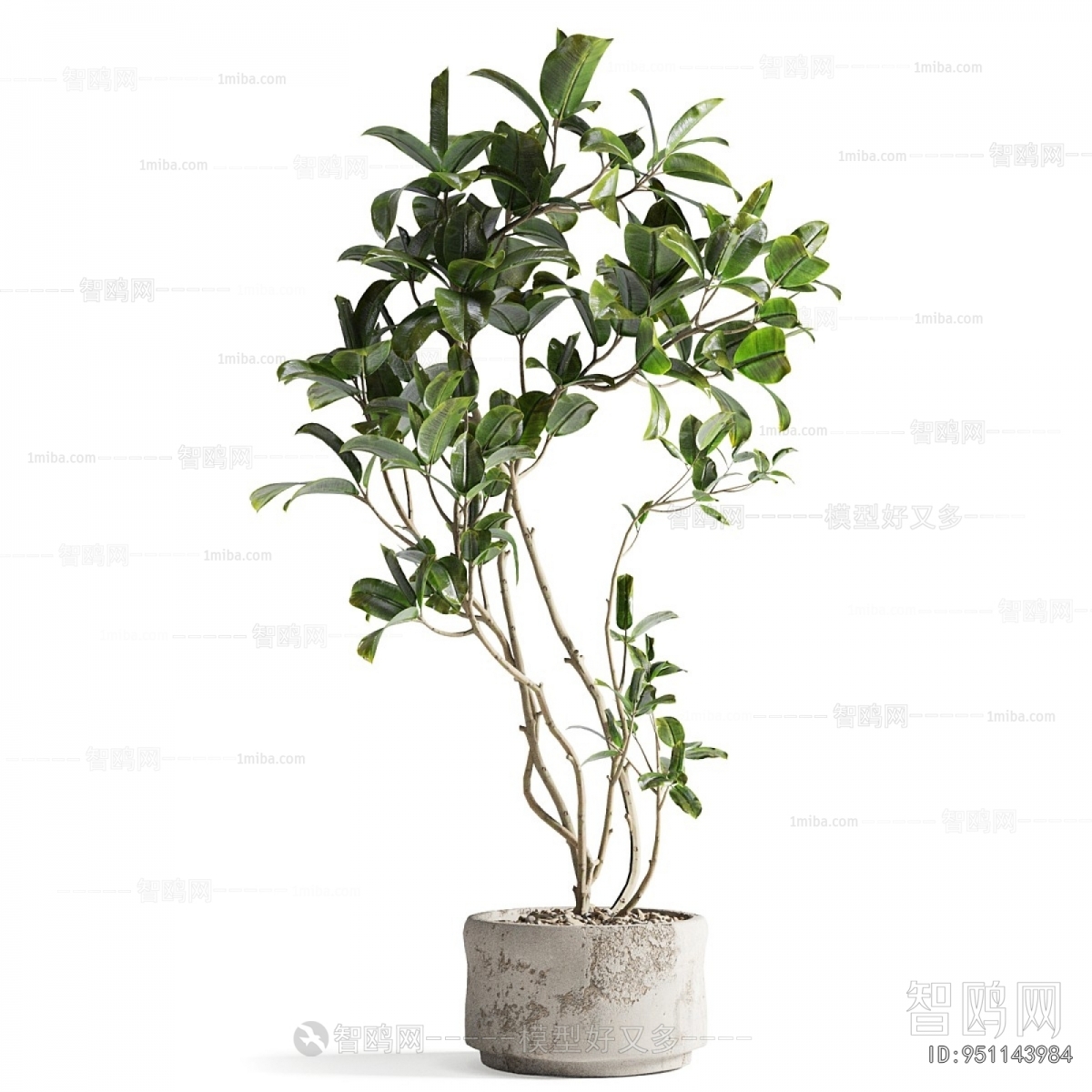 Modern Ground Green Plant Potted Plants