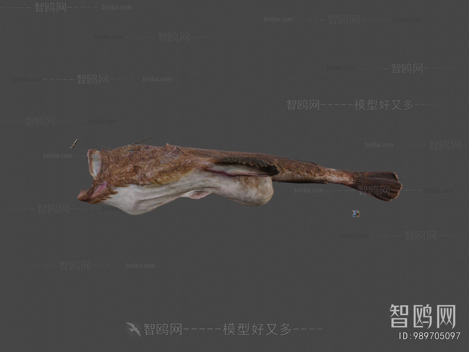 Modern Aquatic Animals