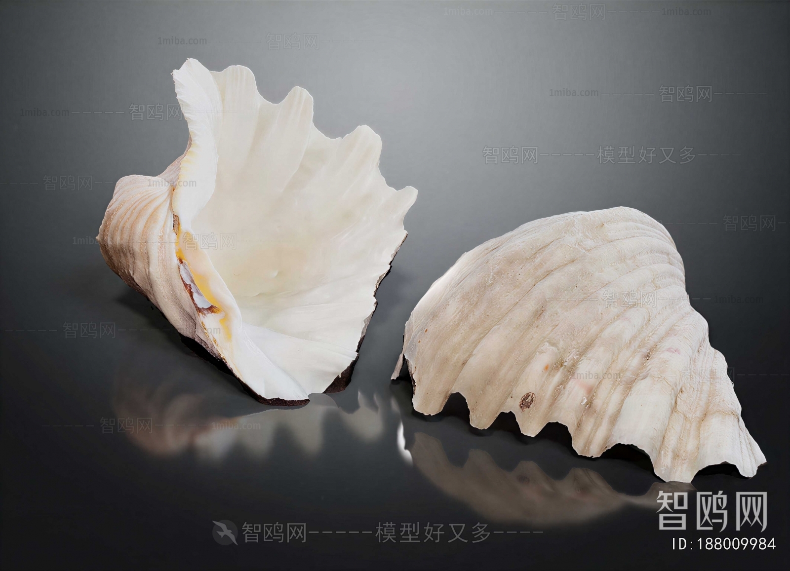 Modern Aquatic Animals