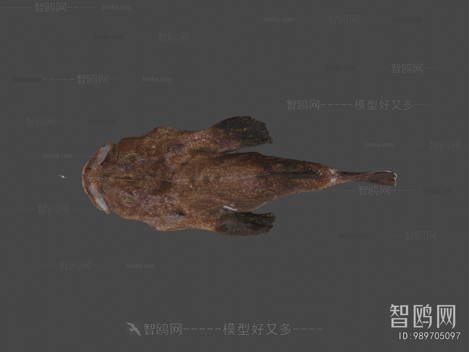 Modern Aquatic Animals