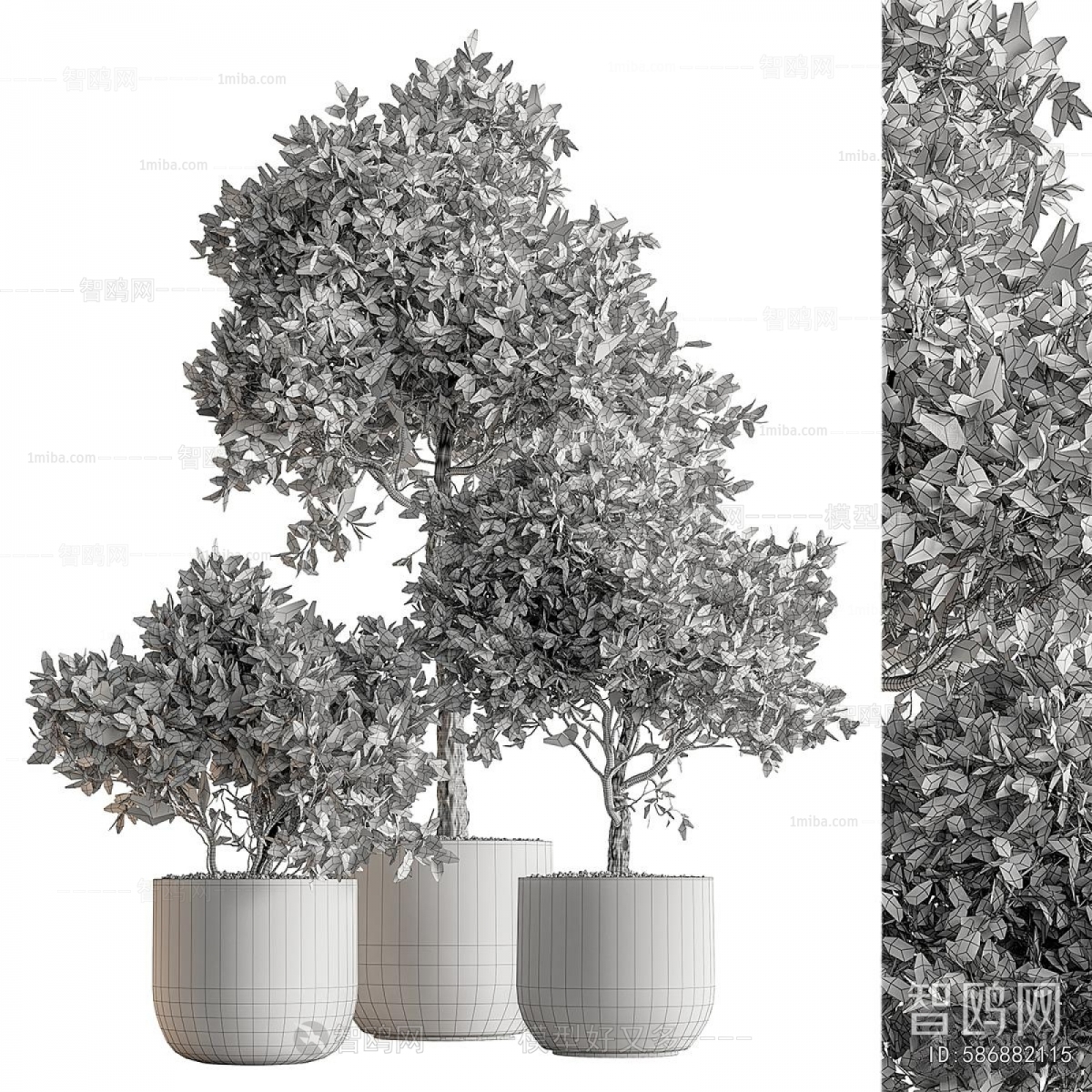 Modern Ground Green Plant Potted Plants