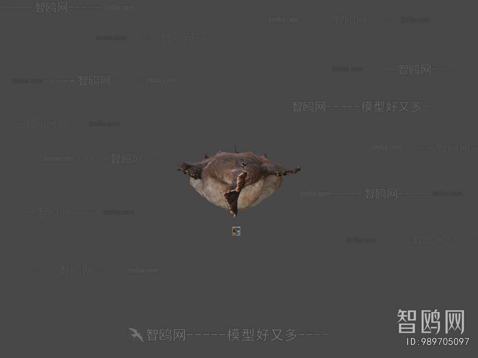 Modern Aquatic Animals