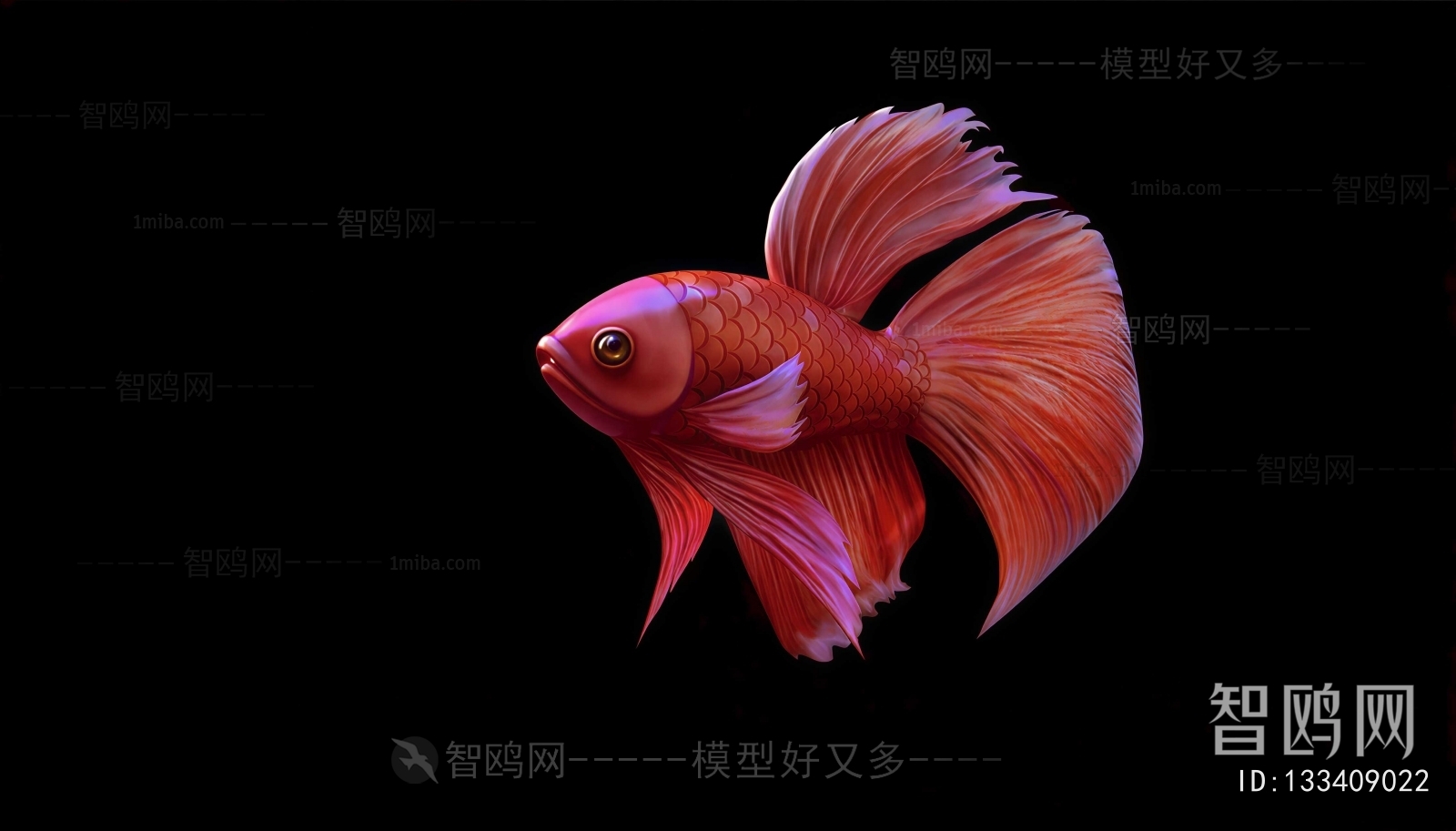 Modern Aquatic Animals