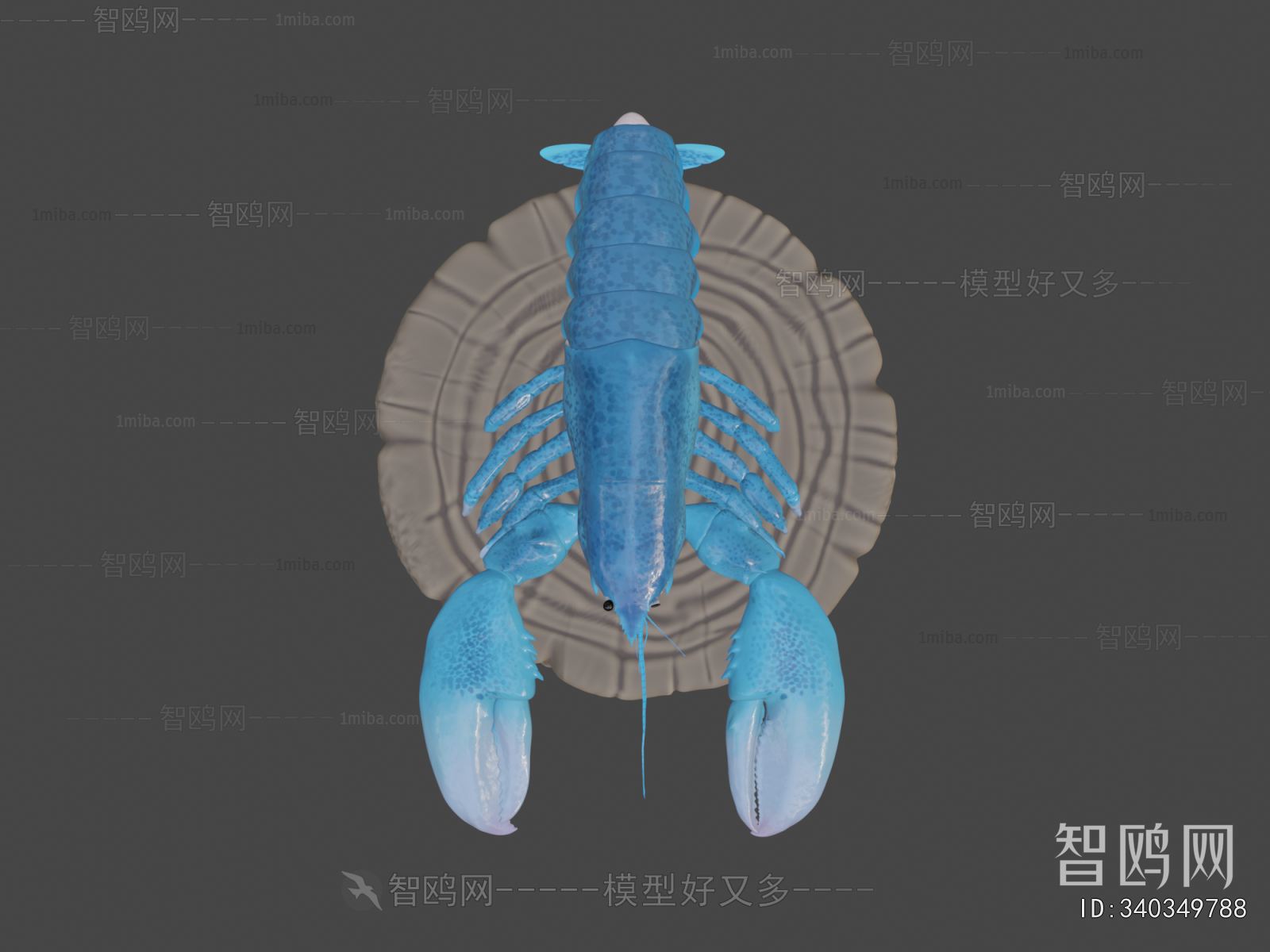 Modern Aquatic Animals