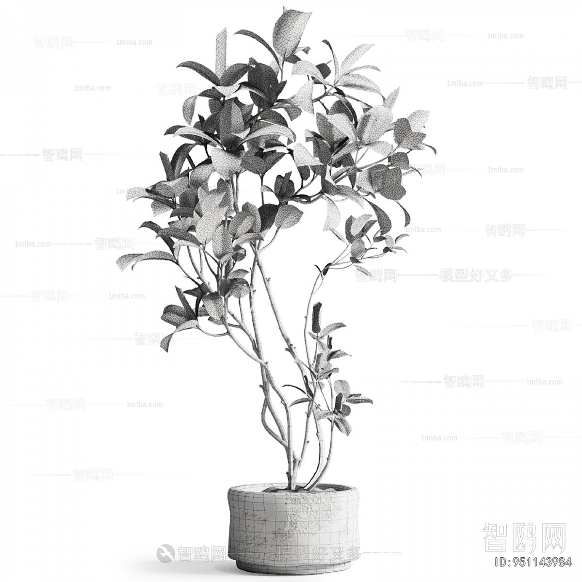 Modern Ground Green Plant Potted Plants