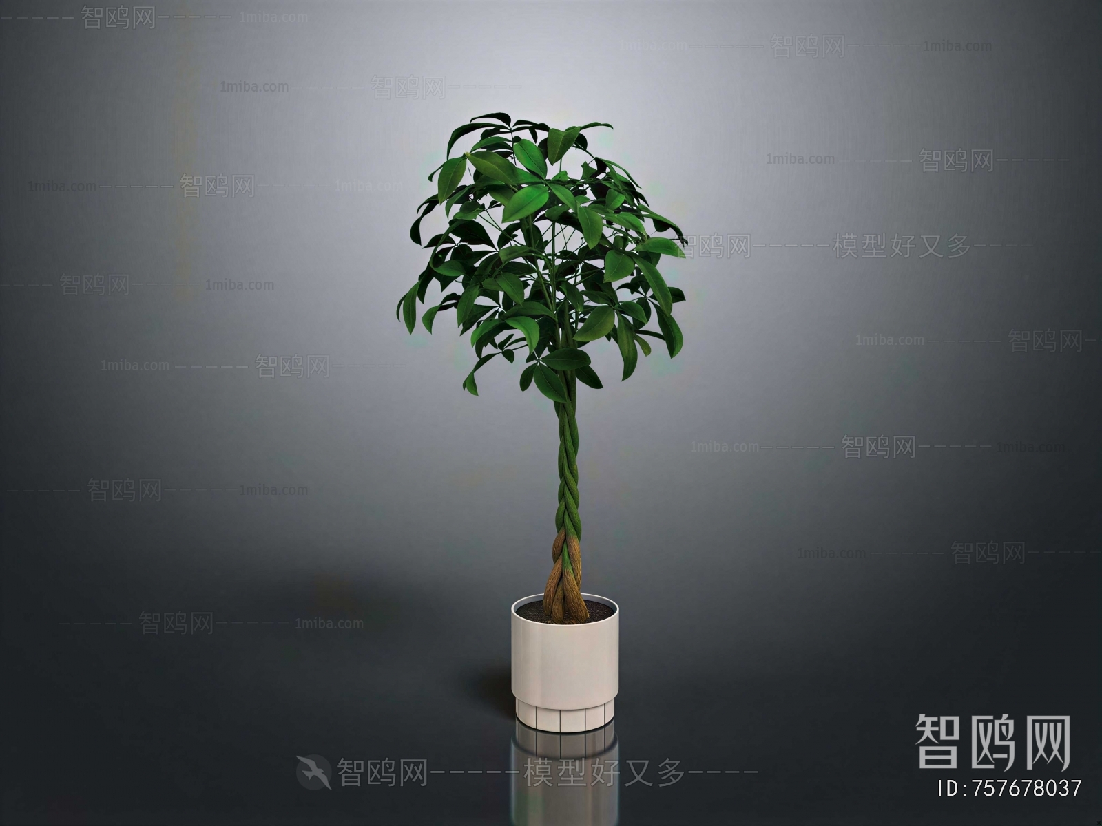 Modern Ground Green Plant Potted Plants