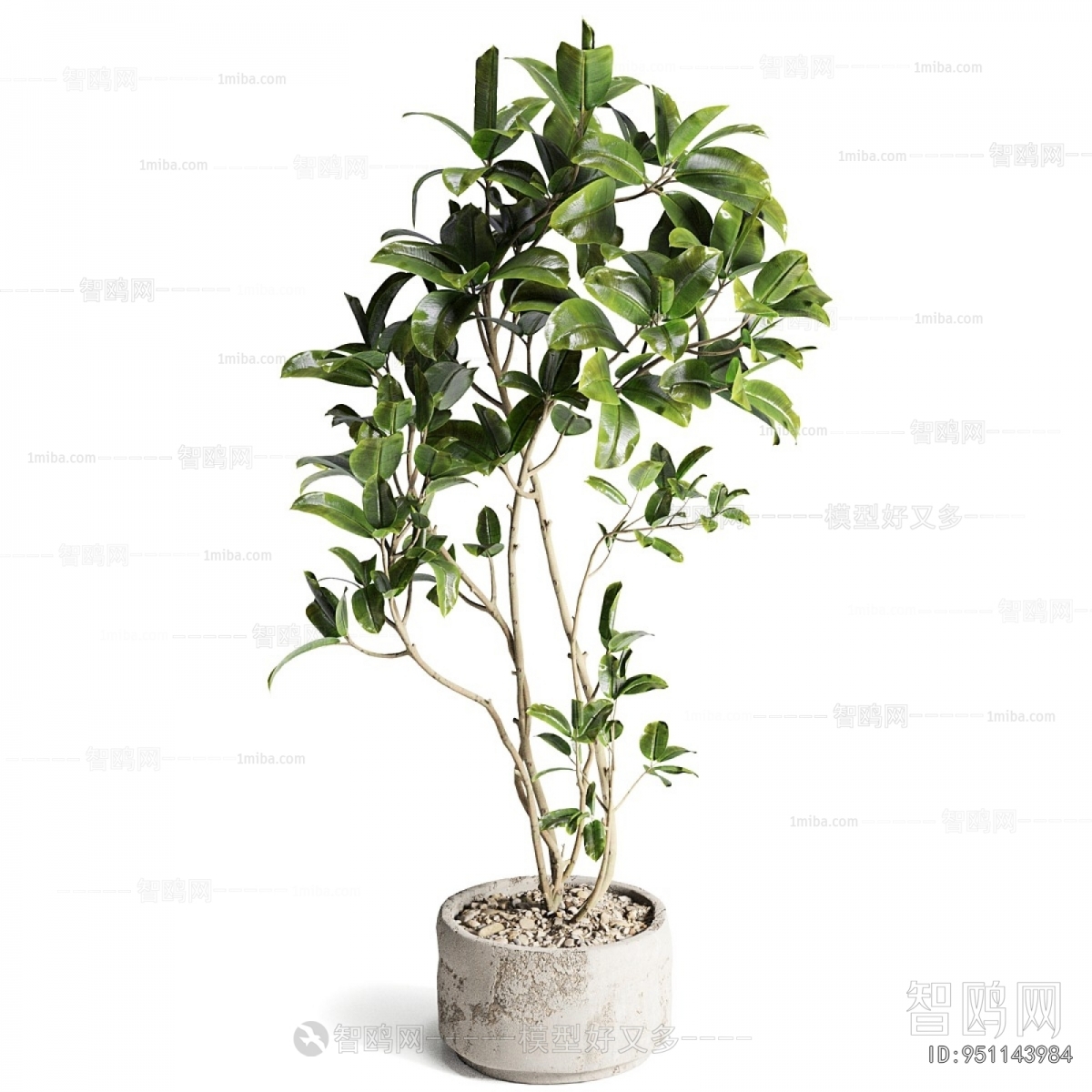 Modern Ground Green Plant Potted Plants