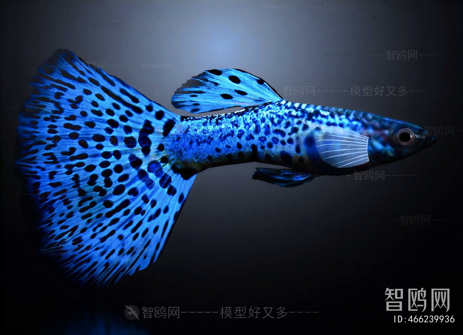 Modern Aquatic Animals