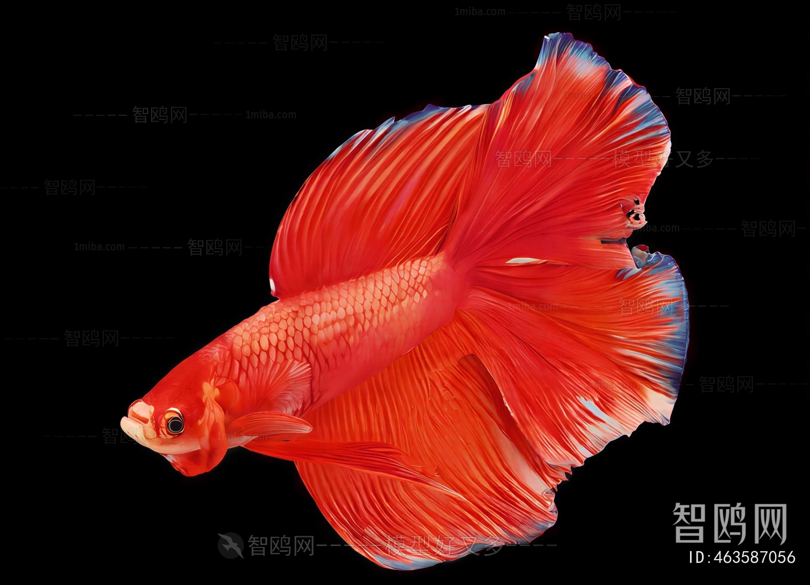 Modern Aquatic Animals