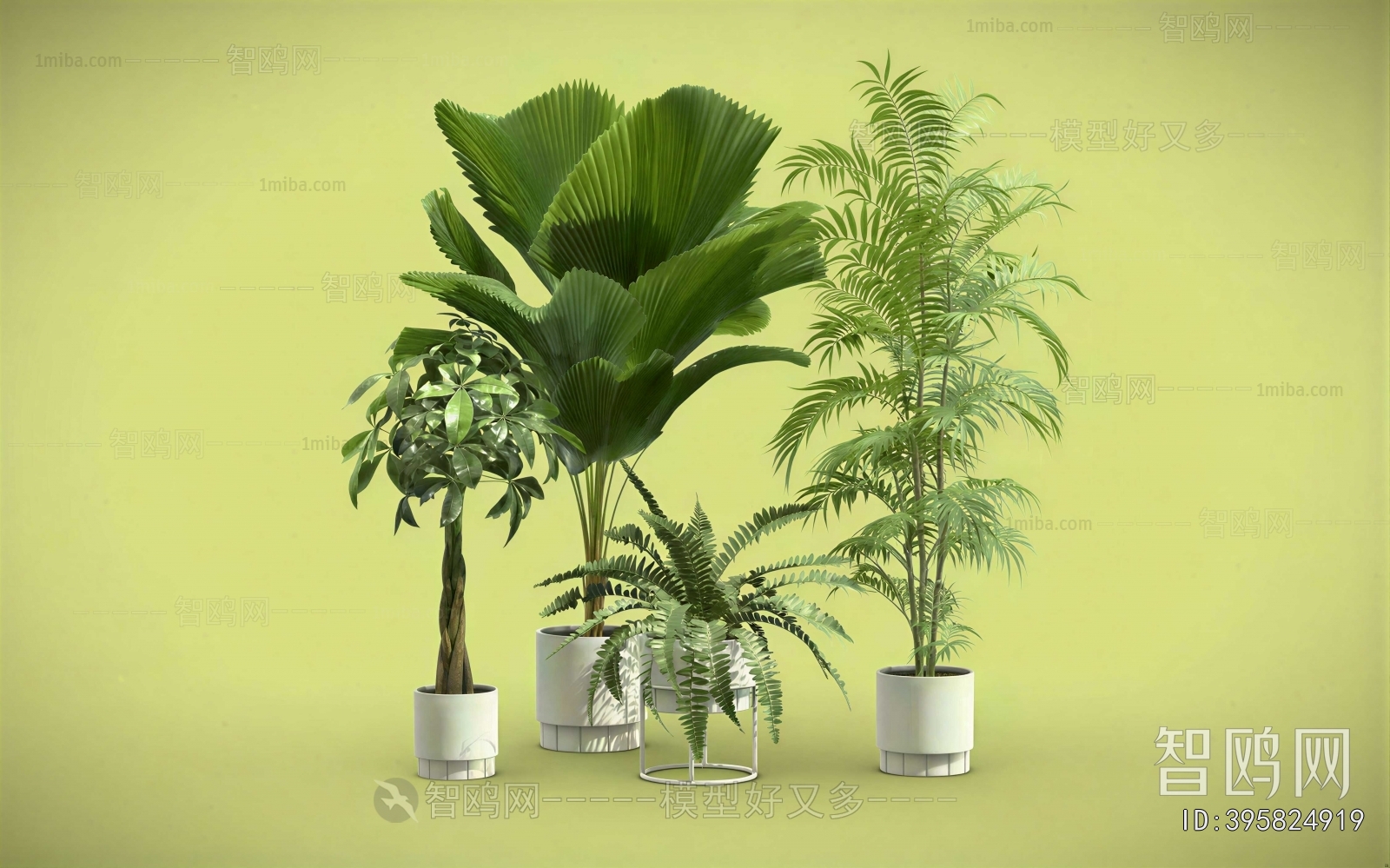 Modern Ground Green Plant Potted Plants