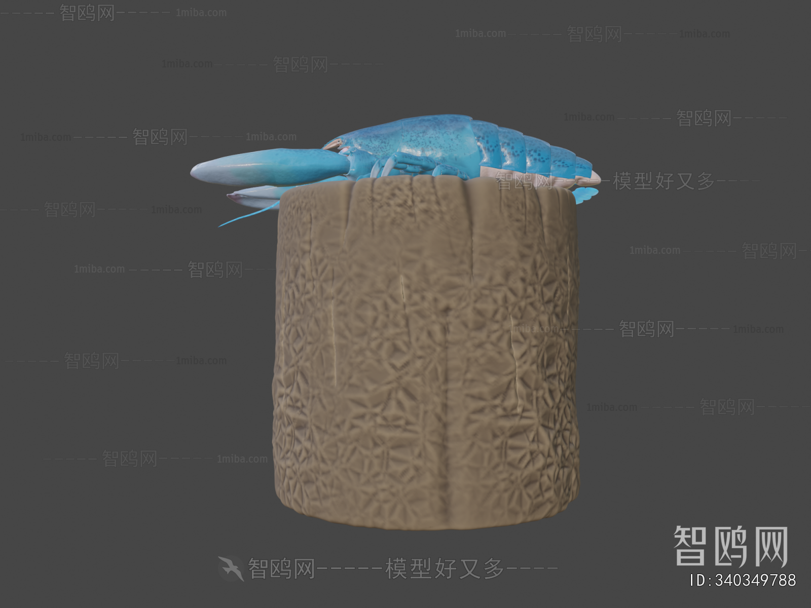 Modern Aquatic Animals