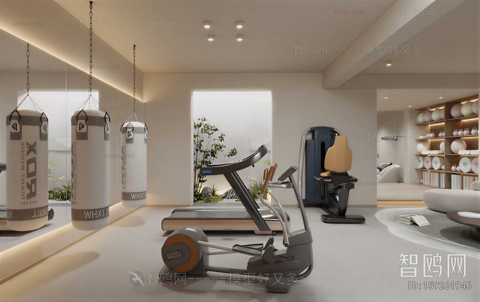 Modern Home Fitness Room