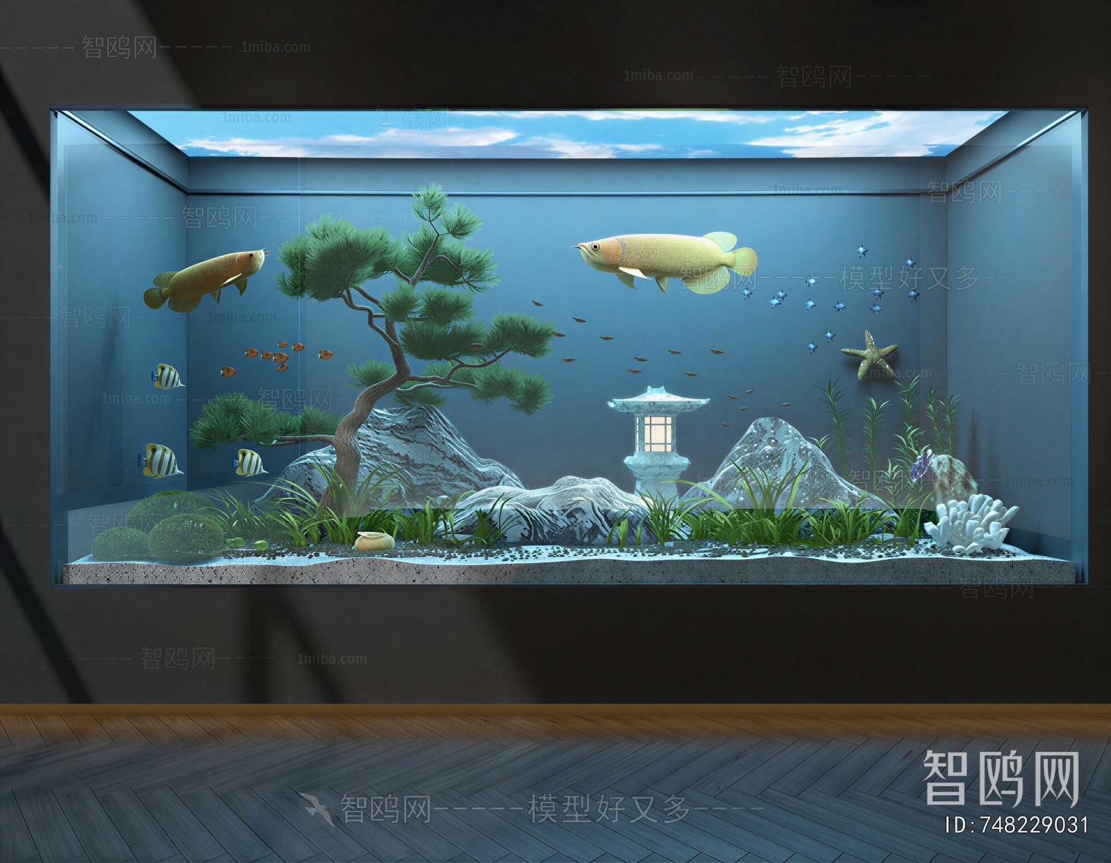 Modern Fish Tank