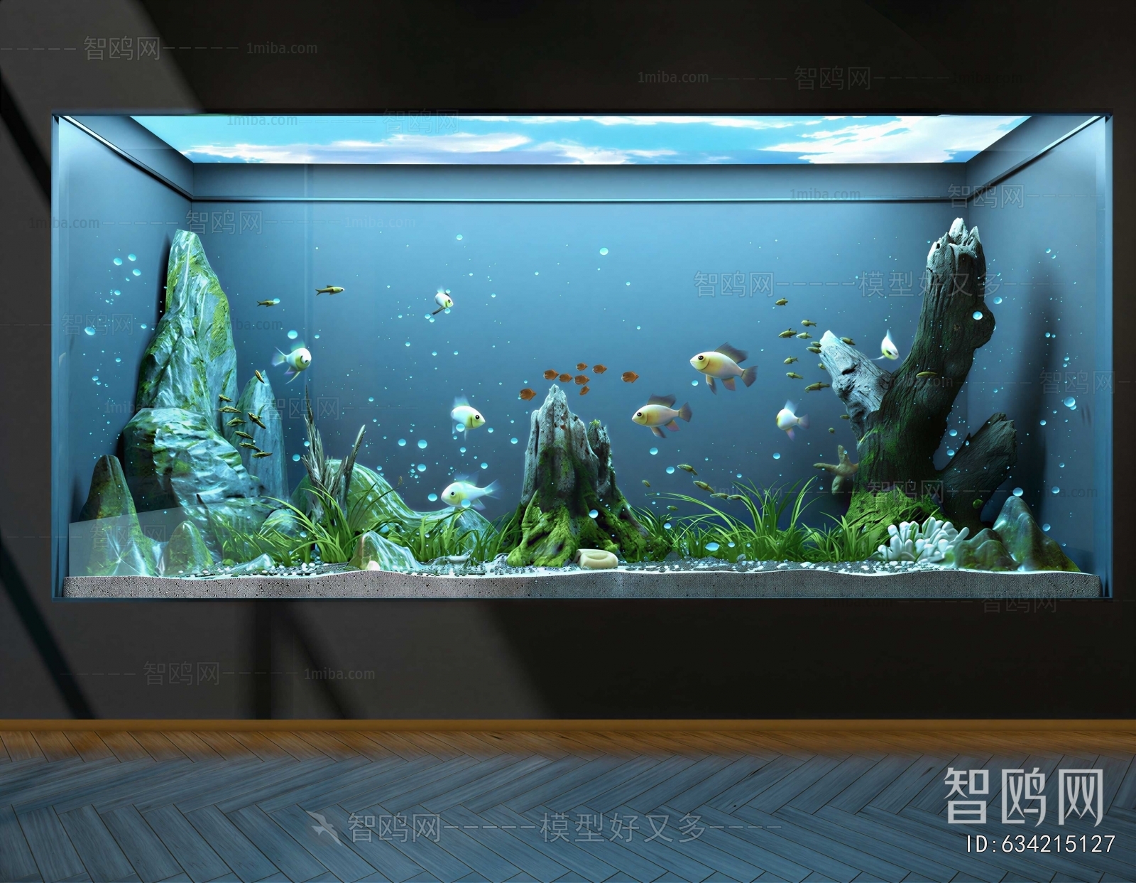 Modern Fish Tank