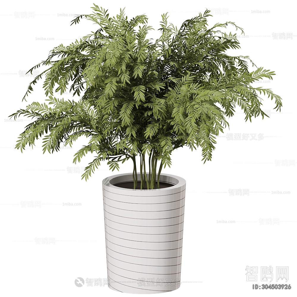 Modern Ground Green Plant Potted Plants